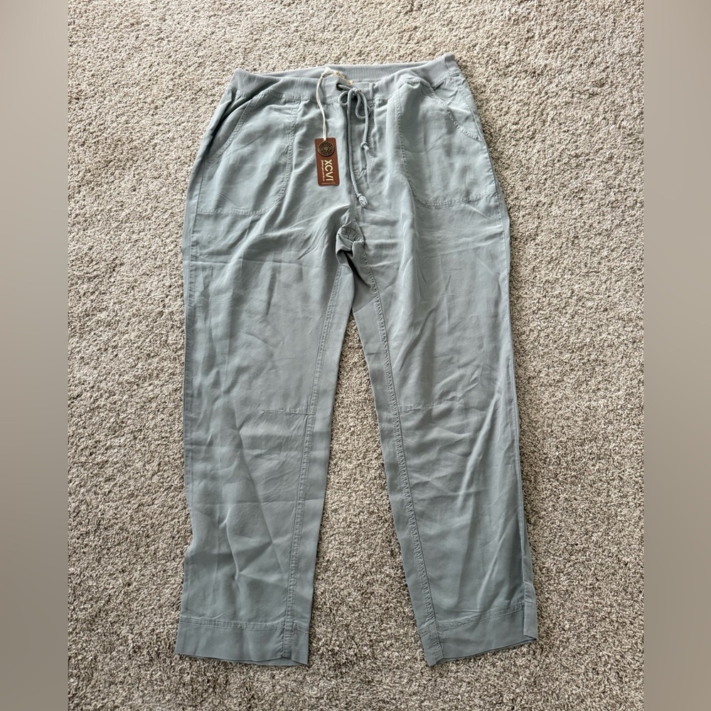 XCVI CUTLER SLIM PANT NWT Size L in Sea Mist Blue Grey